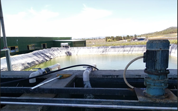 Built in Bypass Soft Starter 75KW French